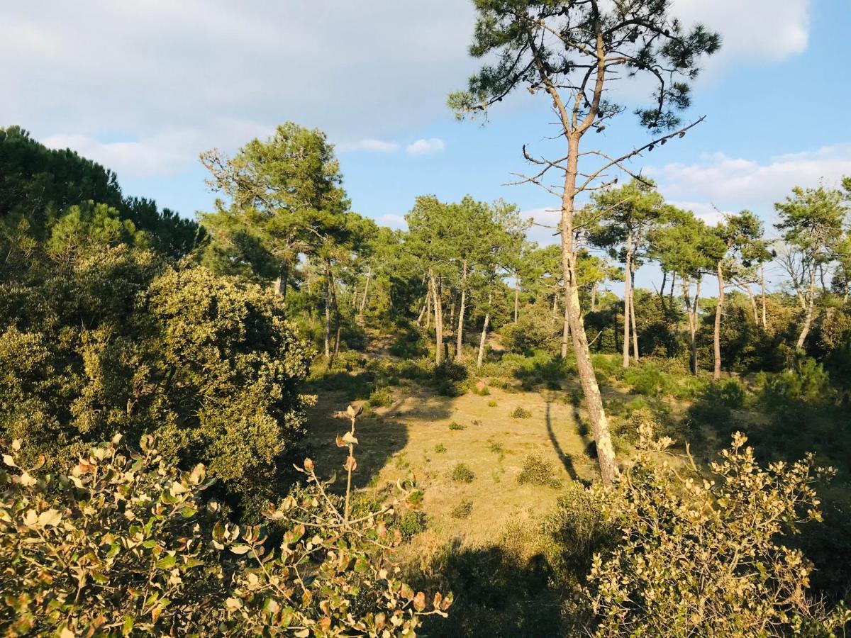Appartement Hirondelles, chaleur et océan à 200m Saint-Hilaire-de-Riez Esterno foto